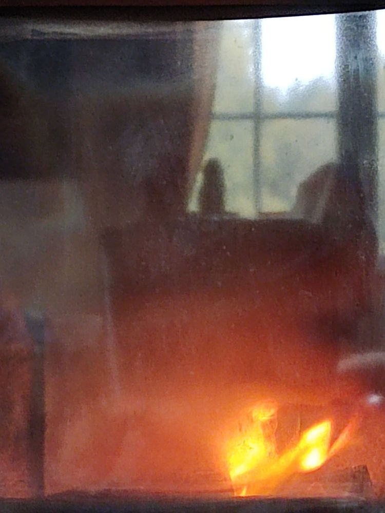Ein Ofen mit Glasscheibe. 
Feuer ist an. Der Hintergrund vom Raum wird durch die Scheibe gespiegelt. 
Ein Fensterausschnitt mit Blick in den Garten. 