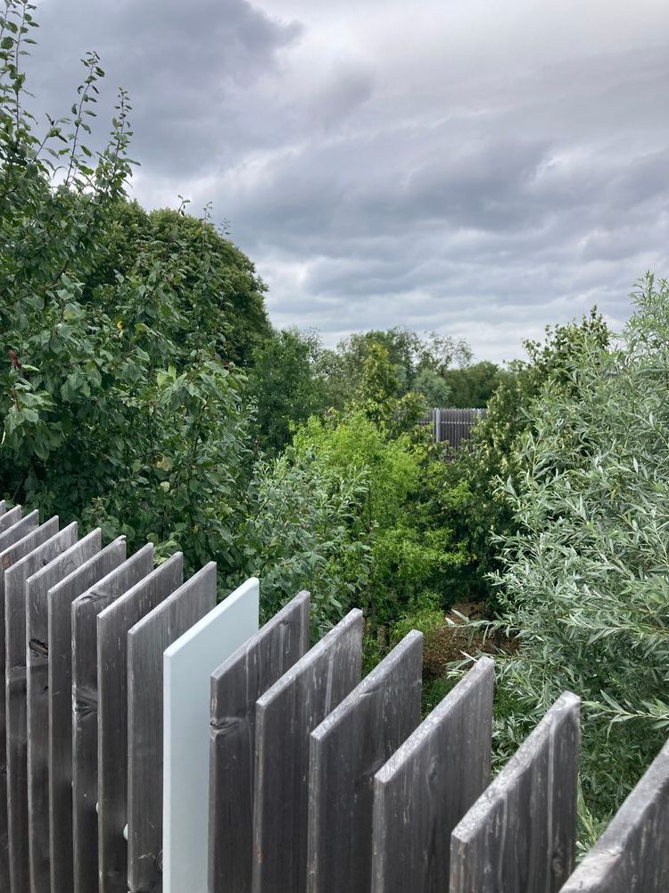 Food forest in edible neighborhood Rijnvliet – design Felixx.