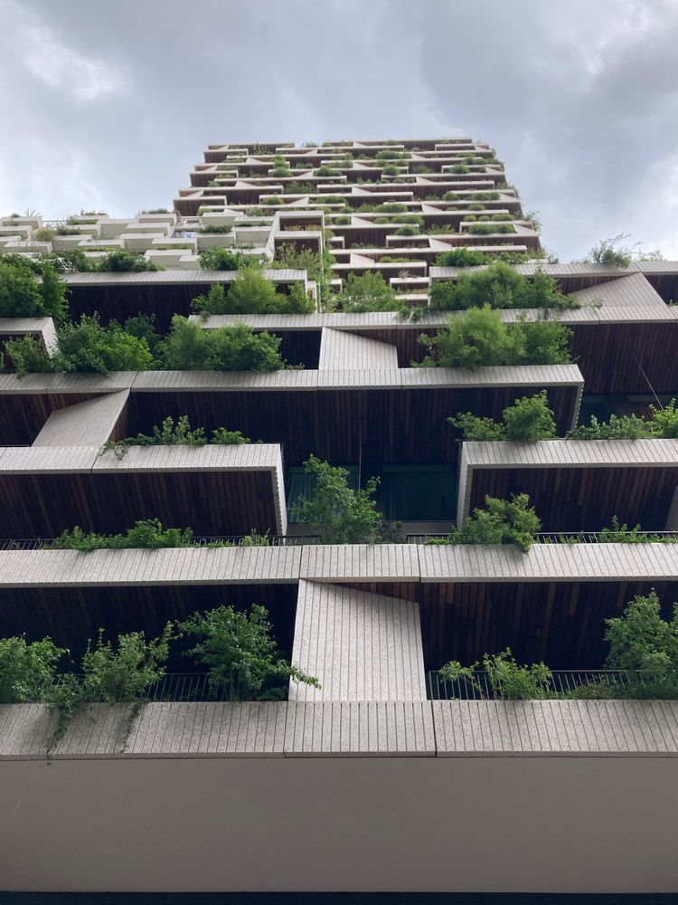 Wonderwoods - landscape design by Arcadis.