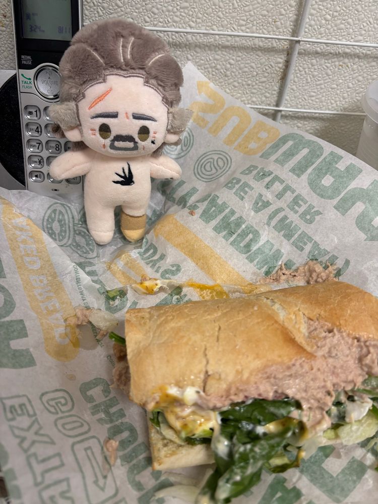 izzy hands looking at a messily thrown together subway™️ sandwich that is bigger than him but technically a kids size 