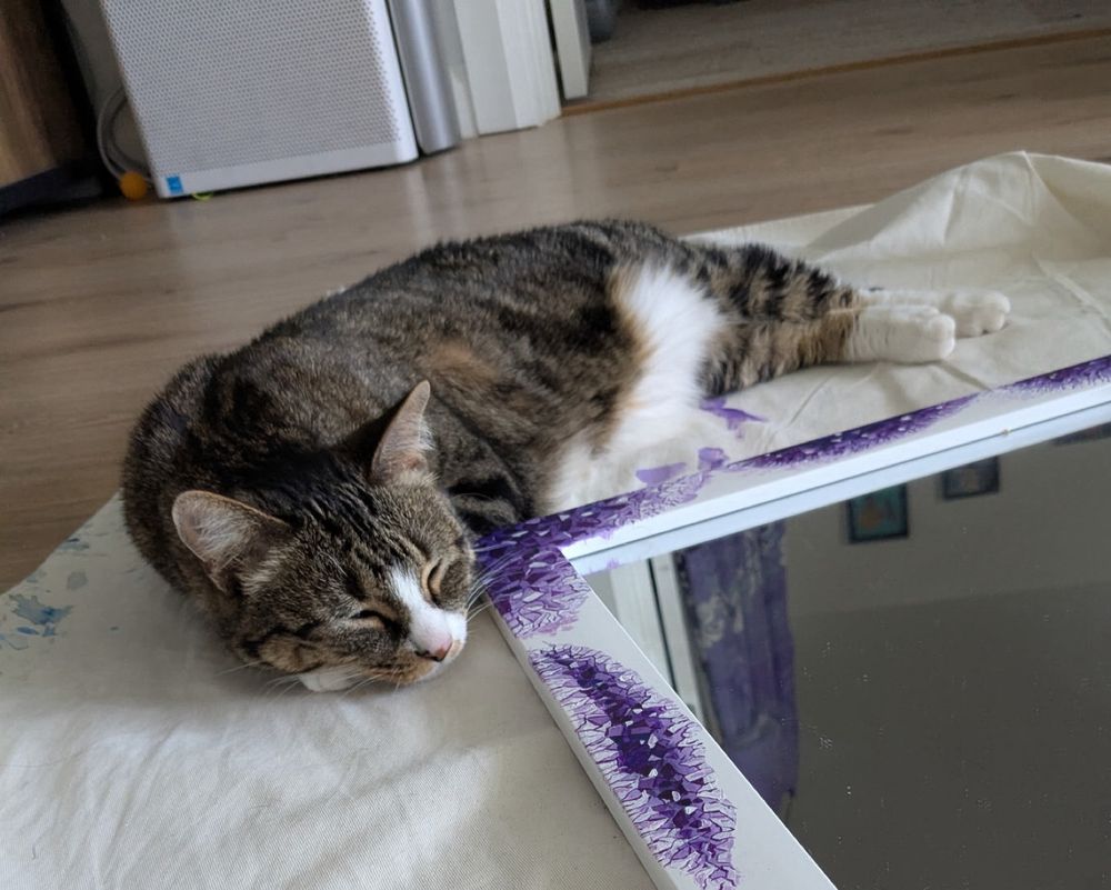 A sleepy tabby cat bends himself to be as close to his mom’s project as possible without touching it