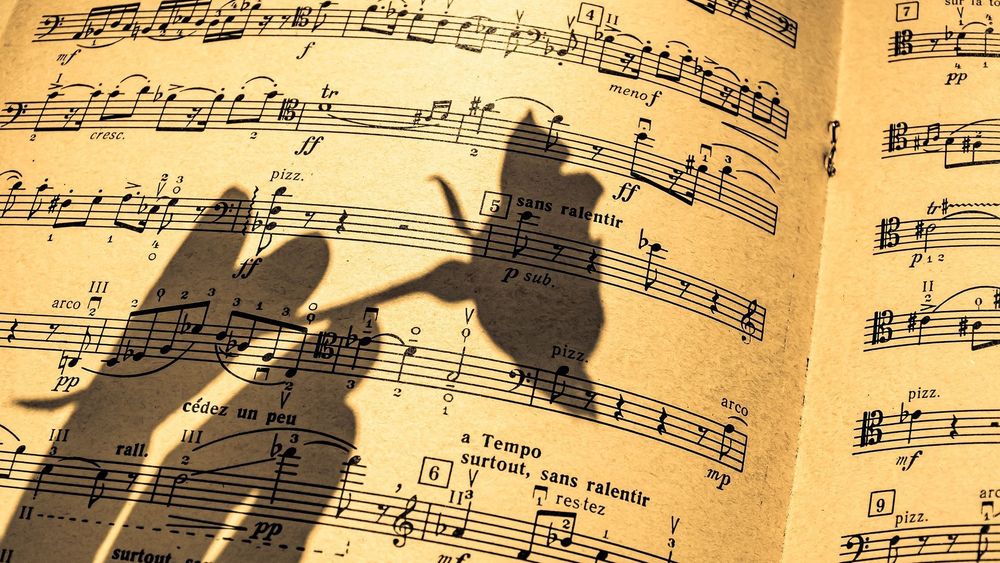 Sheet music with shadow of hand holding rose stem