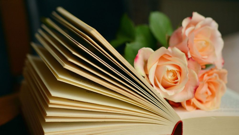 Book held open by three peach-coloured rose stems