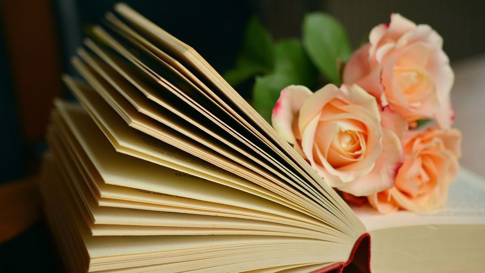 Book held open by three peach-coloured rose stems