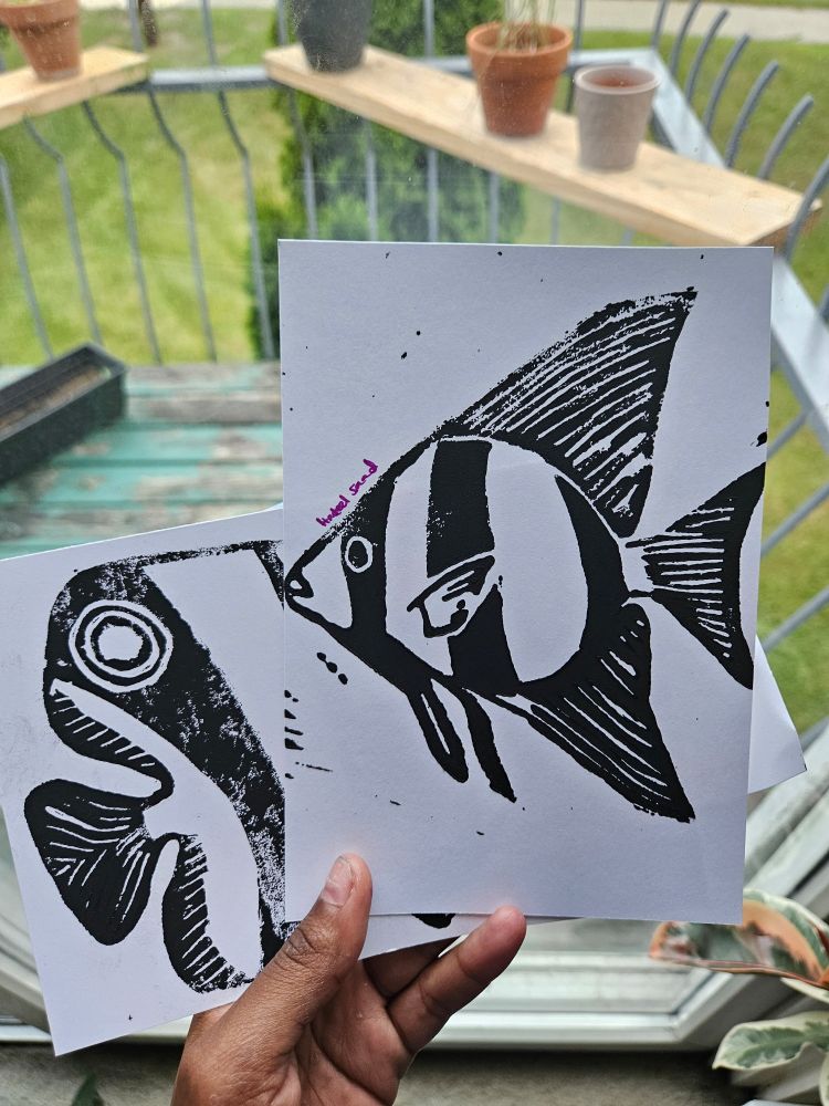 Postcard linocuts of spadefish and butterfly fish