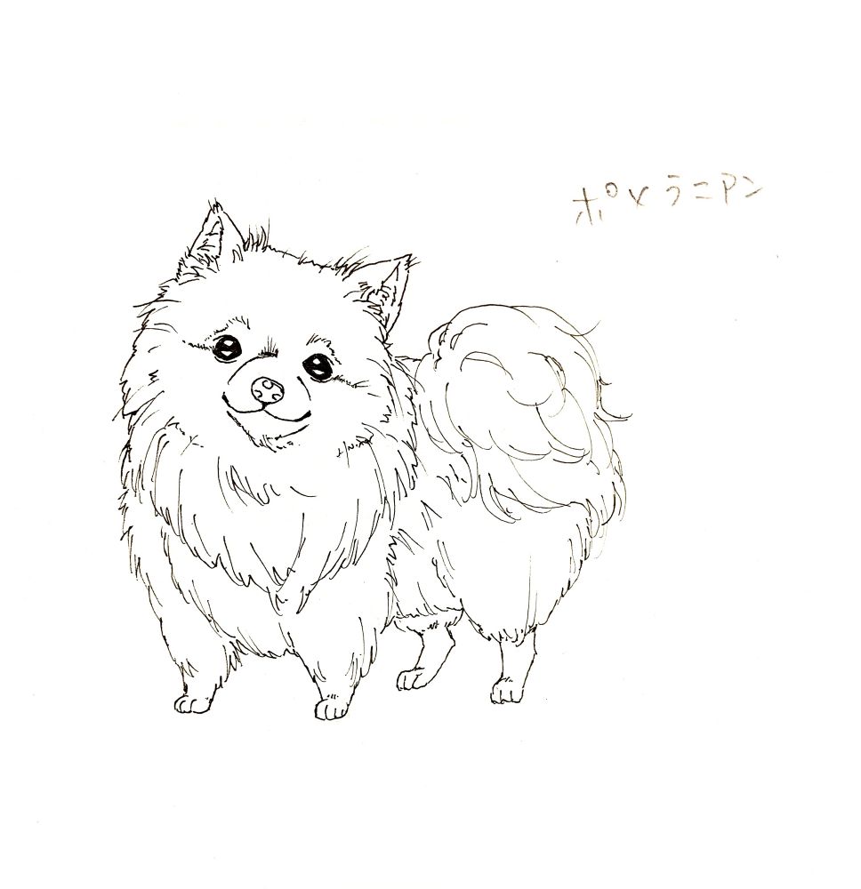 ふわふわな犬