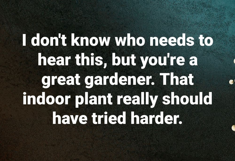 White text on an ombre green background 
"I don't know who needs to hear this, but you're a great gardener. That indoor plant really should have tried harder."