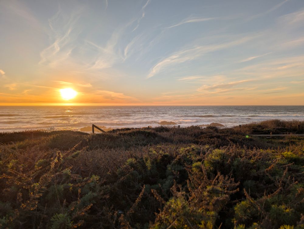 Photo of a warm, winter ocean sunset, with bushes in the foreground. Taken at the beach in Cambria, CA.