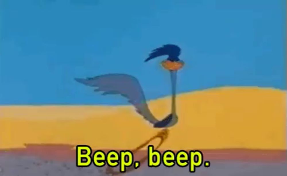 a cartoon of a bird standing next to a cactus with the words beep beep .