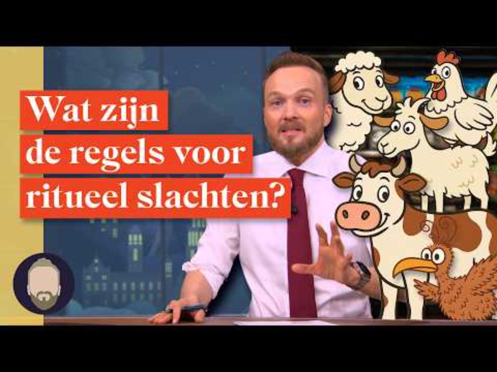 Is ritueel slachten erger dan de reguliere slacht? | LUBACH