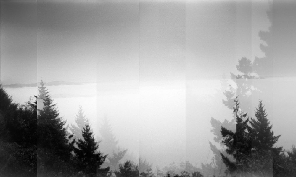 Black and white photo taken from a viewpoint overlooking the ocean with overlapping trees in the forefront.