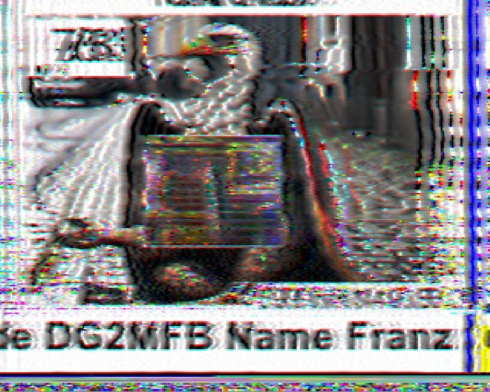 Sstv image from dg2mfb with a bird.