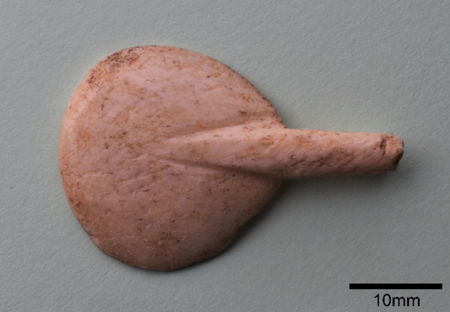The back of the bowl of a spoon, made from bone. the handle has broken off and is missing. It's pretty cute, but we don't think Arlo will be impressed. 