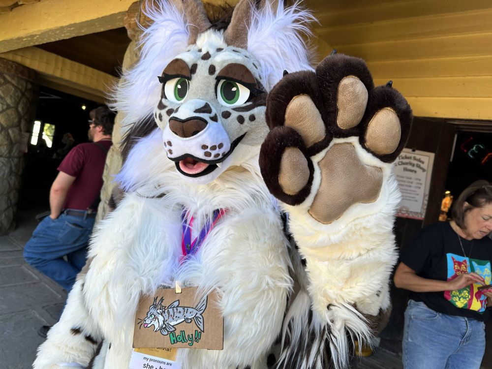 a lynx fursuit waving at the camera (it's me, holly!)