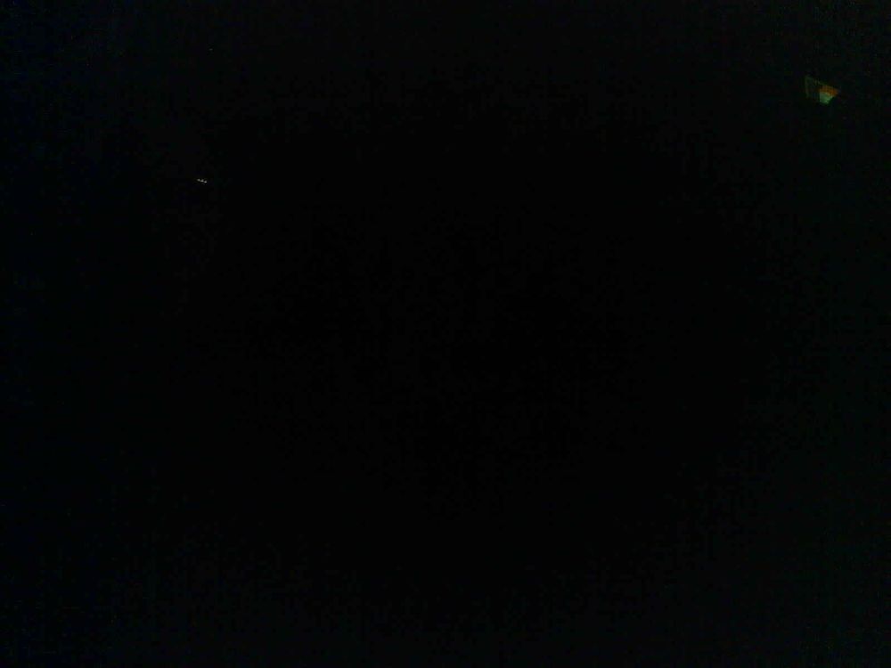 nematode, nematode worm, roundworm