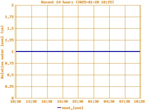 crossword puzzle, crossword