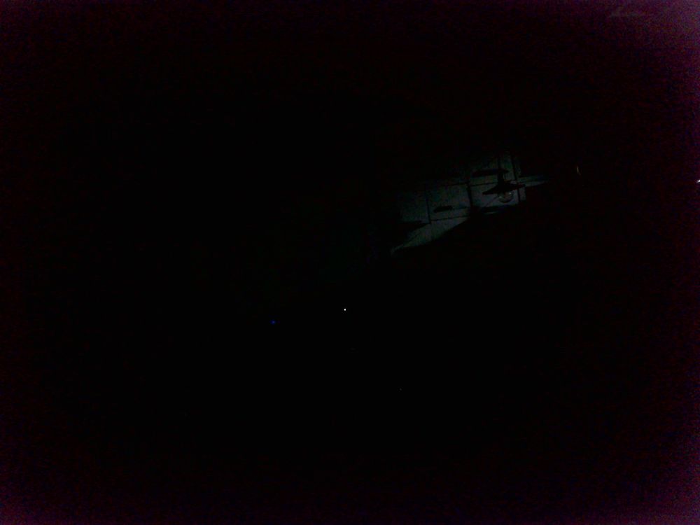 nematode, nematode worm, roundworm