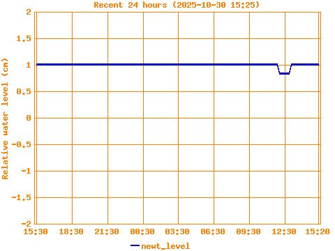 crossword puzzle, crossword