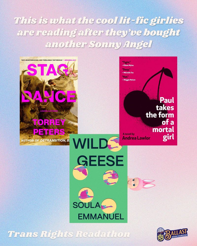 Pink and blue gradient background with white text that reads 'this is what the cool lit-fic girlies are reading after they've bought another sonny angel.' Three book covers left to right: Stag Dance, Wild Geese, and Paul Takes the Form of a Mortal Girl. A Sonny Angel, which is a small baby figurine with pink bunny ears, peeks out coquettishly from behind Wild Geese. 