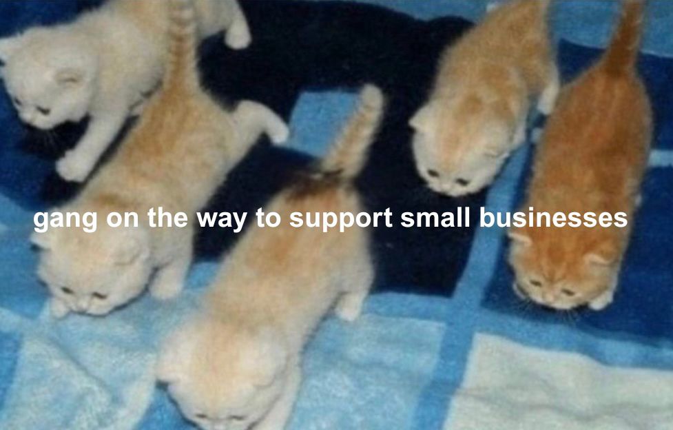 5 baby orange kittens all walking in the same direction with a white text overlaid on top that says 'gang on the way to support small businesses' because shopping small and supporting indie businesses is COOL and helping billionaires rent historical cities is NOT