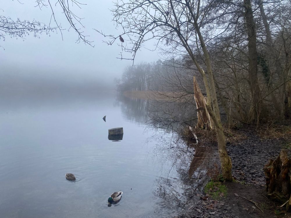 Schlachtensee evening scene