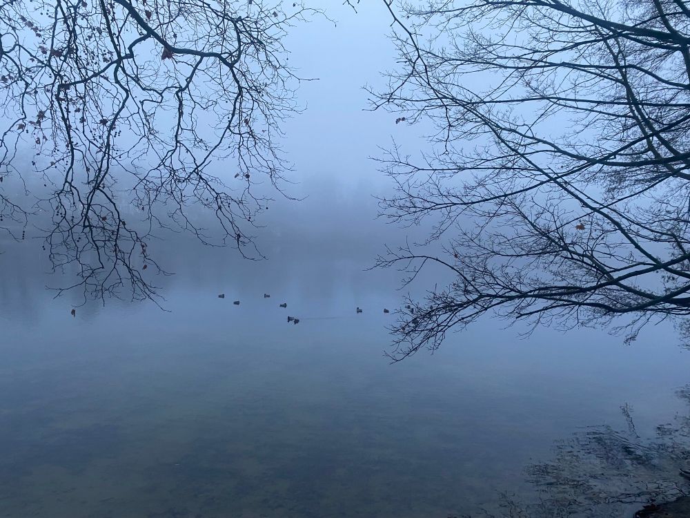 Schlachtensee evening scene
