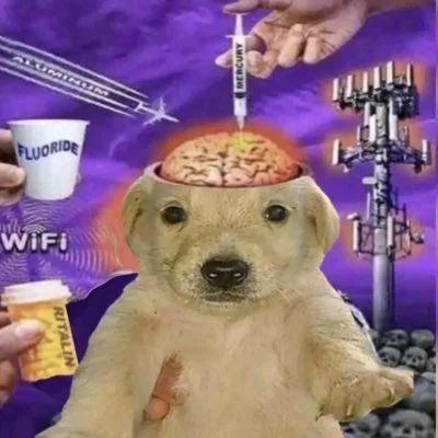 jotchua (a strange looking Labrador retriever) in front of a five-g cell tower littered with skulls, being offered a cup of fluoride and a Ritalin bottle, WiFi is emitted ominously while a plane flies by emitting aluminum, jotchua is receiving a shot full of mercury into his exposed brain. the ALT text may sound frightning but i promise the image is much more humorous and lighthearted, and looks similar to a very bad science textbook from the nineties.