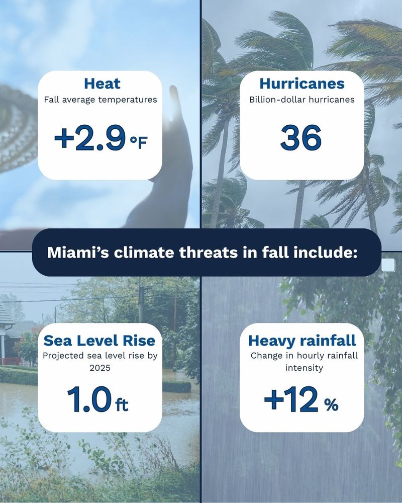 4 panel image with text in middle that says Miami's climate threats in fall include. Each window pane is a different impact, heat, hurricanes, sea level rise and heavy rainfall facts are in white boxes in each window. Background images relate to each impact with a focus on tropical Miami.