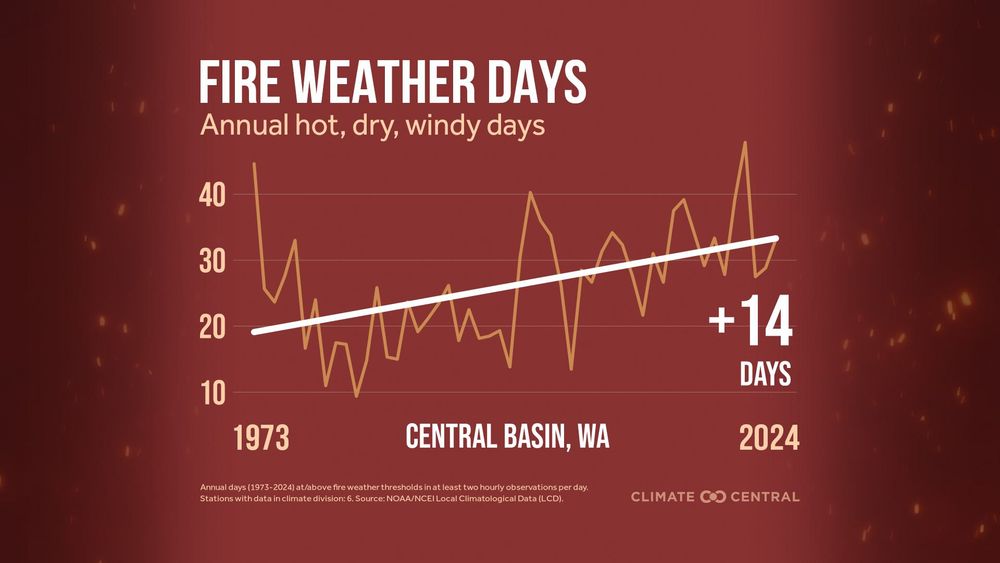 Line chart showing annual fire weather days (hot, dry, windy) in Central Basin, WA, from 1973–2024. Trend increases by +14 days over time. Source: NOAA/NCEI LCD