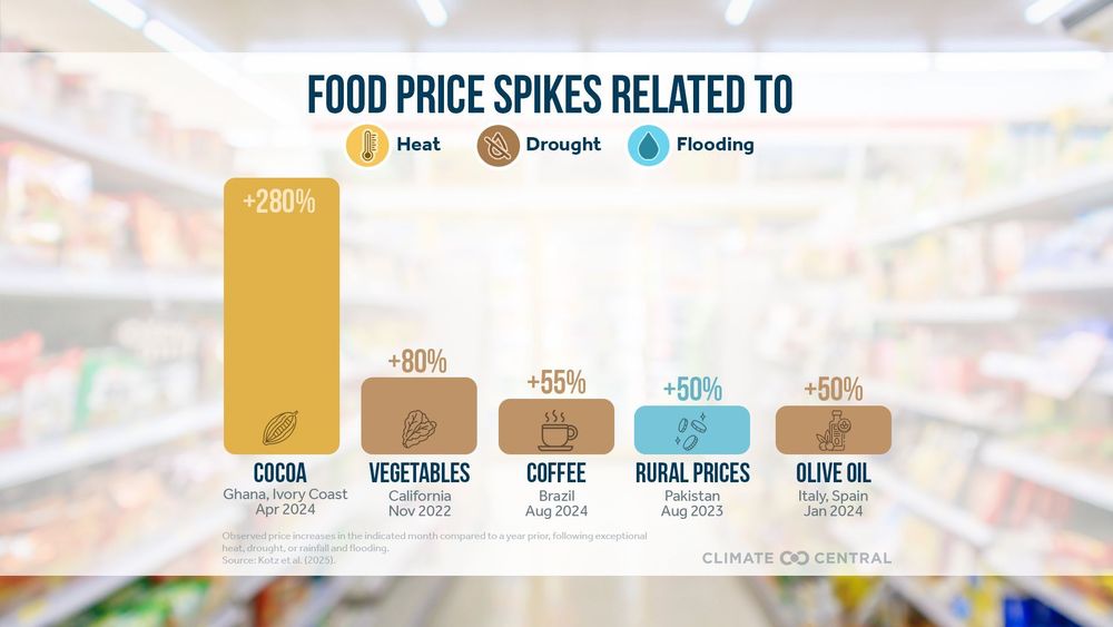 Background is supermarket aisle. Foreground is bar graph showing how food price spikes related to certain climate extremes in certain places. 