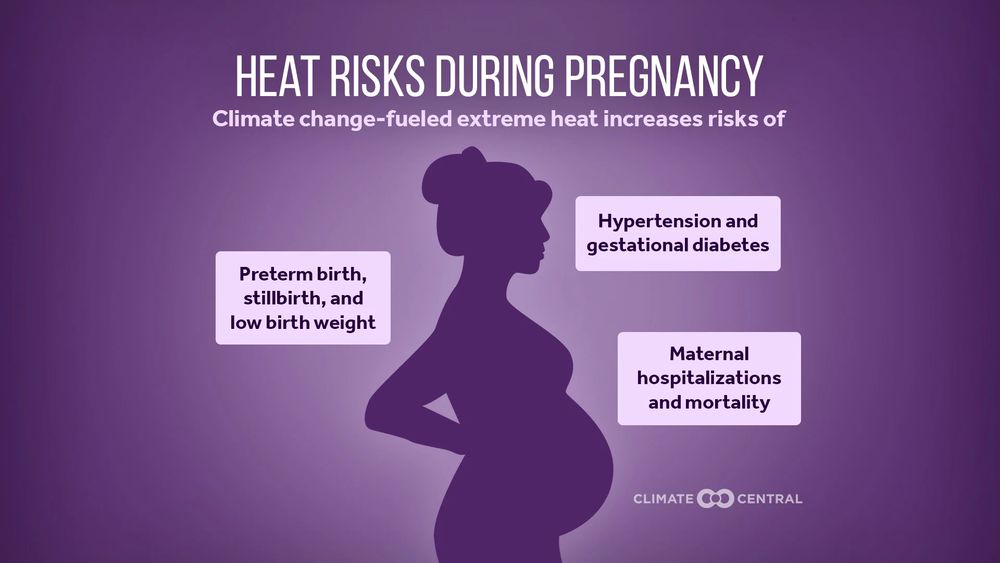 Graphic of a pregnant person with text: Climate change–fueled extreme heat increases risks of preterm birth, stillbirth, and low birth weight; hypertension and gestational diabetes; and maternal hospitalizations and mortality.