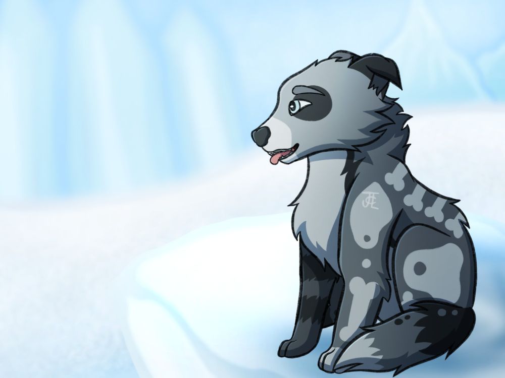 Shiver! He's a goober, this is him as a puppy :3