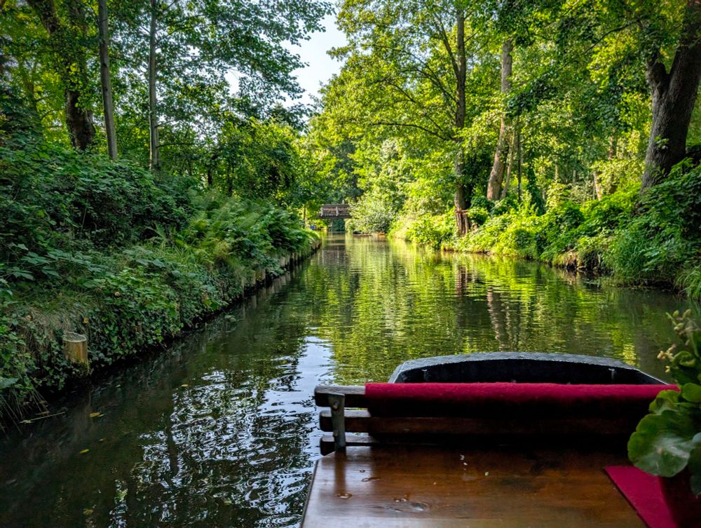 Aufnahme von einem Kahn auf einem Flies im Spreewald. 