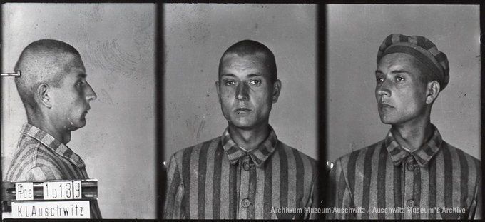 A mugshot registration photograph from Auschwitz. A man with a shaved head wearing a striped uniform photographed in three positions (profile and front with bare head and a photo with a slightly turned head with a hat on). The prisoner number is visible on a marking board on the left.