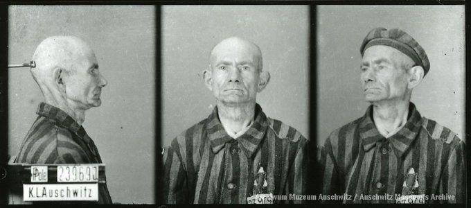A mugshot registration photograph from Auschwitz. A man with a shaved head wearing a striped uniform photographed in three positions (profile and front with bare head and a photo with a slightly turned head with a hat on). The prisoner number is visible on a marking board on the left.