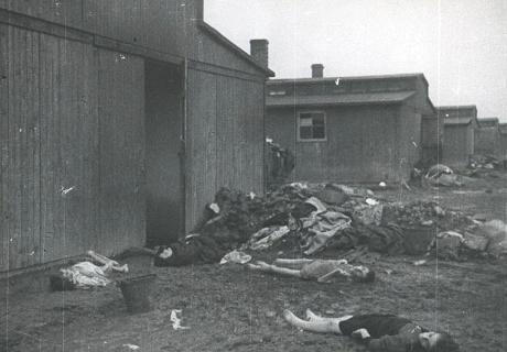 Historical black and white photograph of Auschwitz concentration camp after liberation showing dilapidated wooden barracks and victims' bodies on the ground.