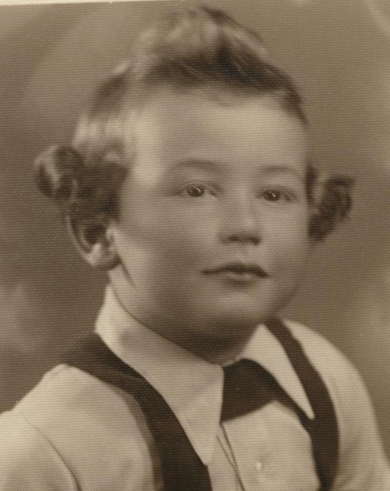 This is a sepia-toned vintage portrait of a young boy with curly hair. The child is wearing a light-colored shirt with a dark vest and suspenders.