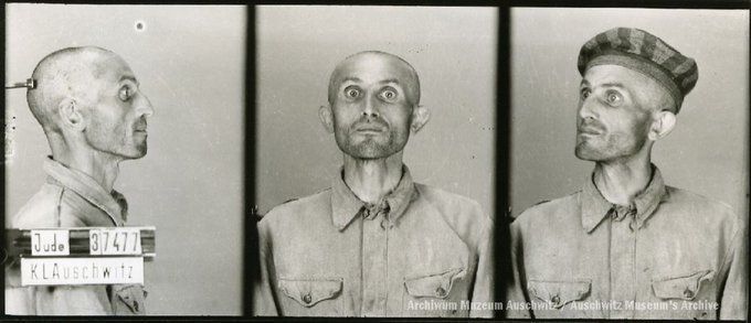 A mugshot registration photograph from Auschwitz. A man with a shaved head wearing a striped uniform photographed in three positions (profile and front with bare head and a photo with a slightly turned head with a hat on). The prisoner number is visible on a marking board on the left.