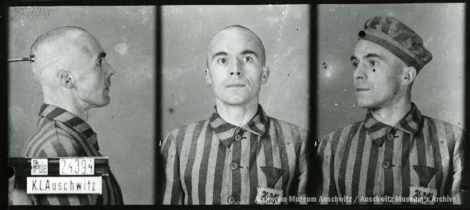 A mugshot registration photograph from Auschwitz. A man with a shaved head wearing a striped uniform photographed in three positions (profile and front with bare head and a photo with a slightly turned head with a hat on). The prisoner number is visible on a marking board on the left.