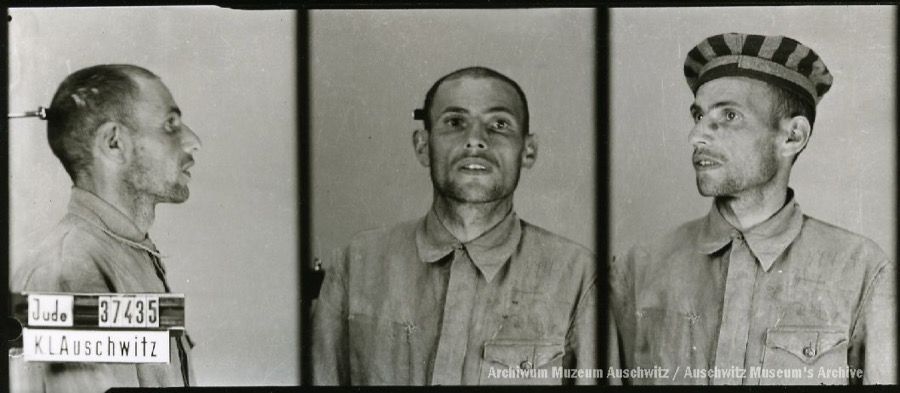 A mugshot registration photograph from Auschwitz. A man with a shaved head wearing a striped uniform photographed in three positions (profile and front with bare head and a photo with a slightly turned head with a hat on). The prisoner number is visible on a marking board on the left.