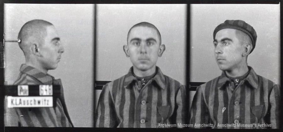A mugshot registration photograph from Auschwitz. A man with a shaved head wearing a striped uniform photographed in three positions (profile and front with bare head and a photo with a slightly turned head with a hat on). The prisoner number is visible on a marking board on the left.