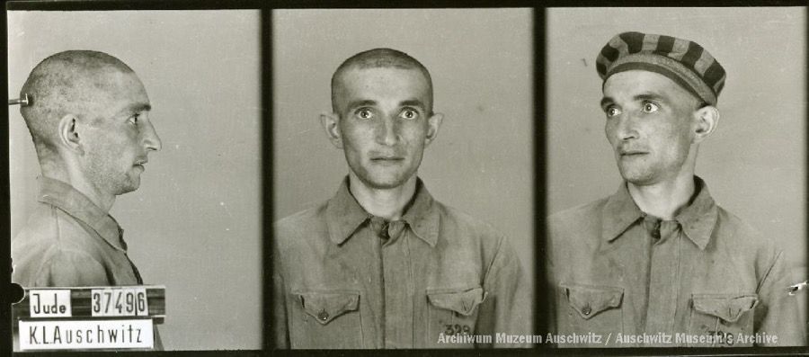 A mugshot registration photograph from Auschwitz. A man with a shaved head wearing a striped uniform photographed in three positions (profile and front with bare head and a photo with a slightly turned head with a hat on). The prisoner number is visible on a marking board on the left.