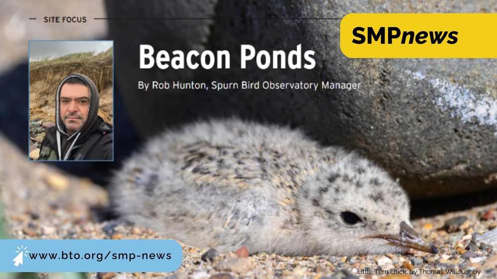 SMPnews header image: Beacon Ponds, written by Rob Hunton, Spurn Bird Observatory. Link to www.bto.org/smp-news