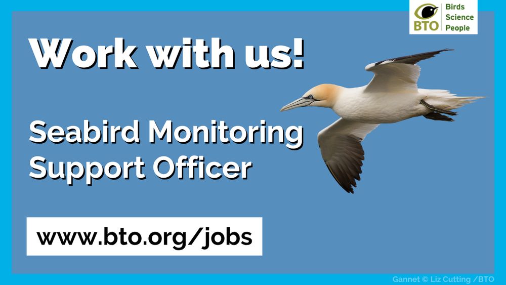 Slide titled 'Work with us!' followed by 'Seabird Monitoring Support Officer' and a link to the BTO's job webpage: www.bto.org/jobs