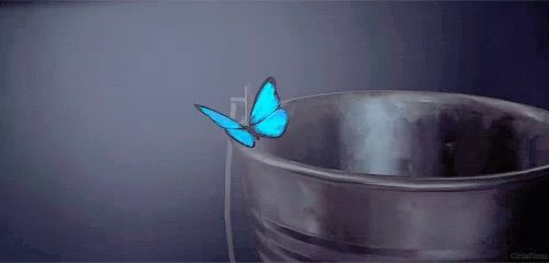 a blue butterfly is sitting in a metal bucket .