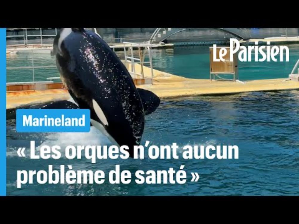 Marineland se défend d'avoir abandonné ses animaux dans un parc fantôme