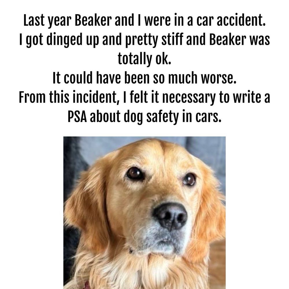 Last year Beaker and I were in a car accident.
I got dinged up and pretty stiff and Beaker was totally ok.
It could have been so much worse.
From this incident, I felt it necessary to write a PSA about dog safety in cars.