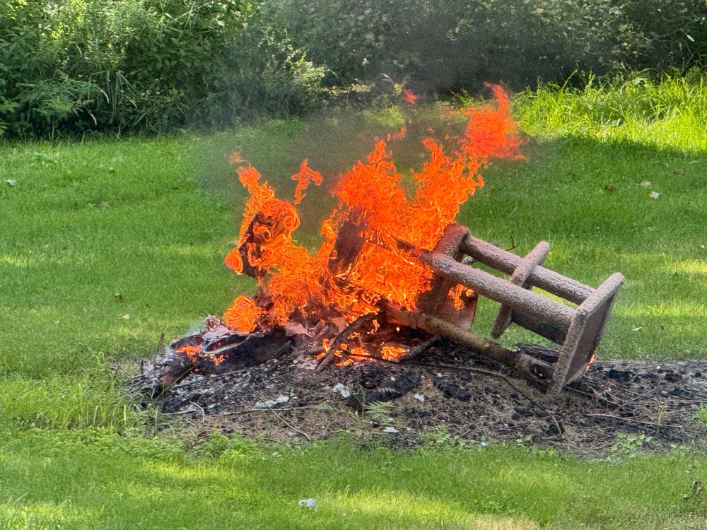 Cat tree burning on a fire pit