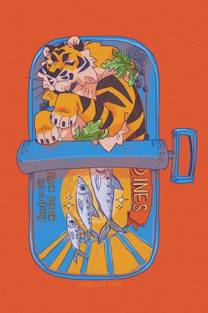 A tiger sleeping in a sardine fish tin.