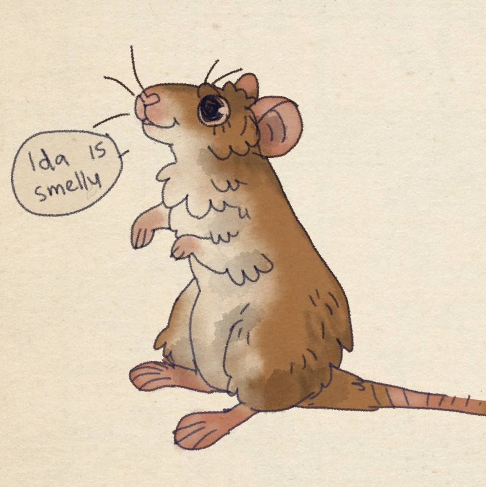 The same picture as the first, but drawn with a speech bubble that says "Ida is smelly"